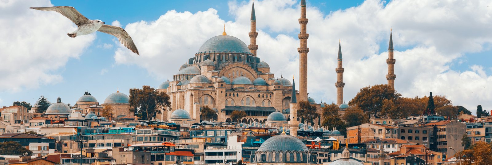 Istanbul: City of Majesty at the Crossroads of the World