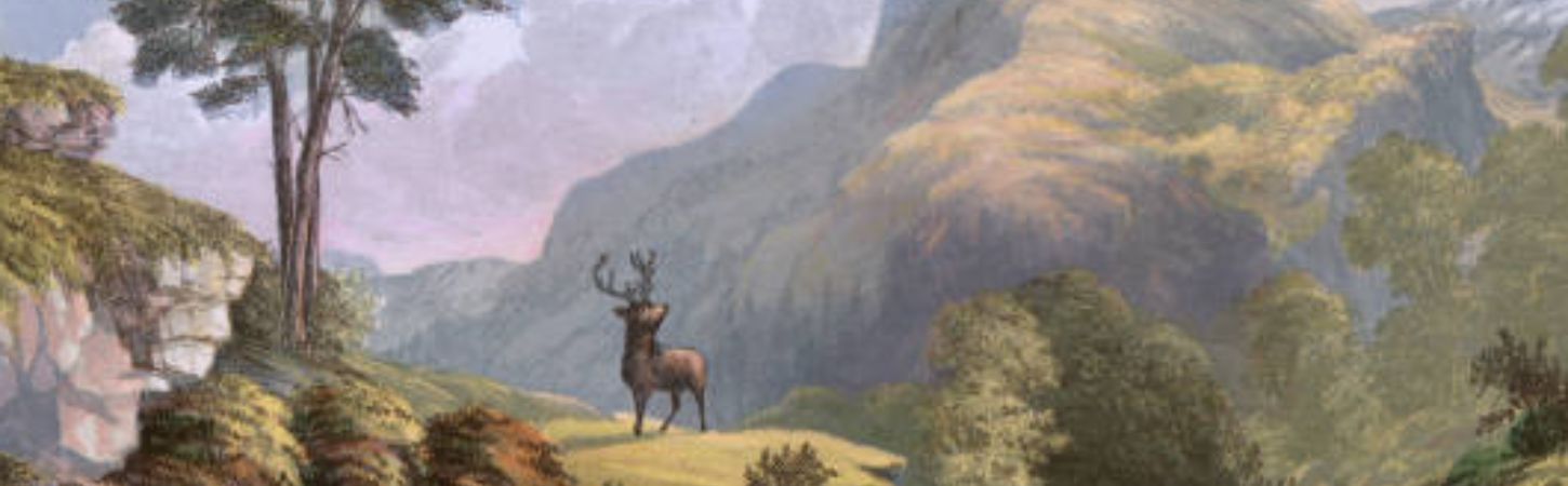 Animals in Art